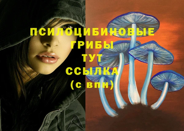 наркотики Алексин