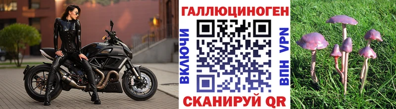 наркошоп  Харовск  Псилоцибиновые грибы Cubensis 